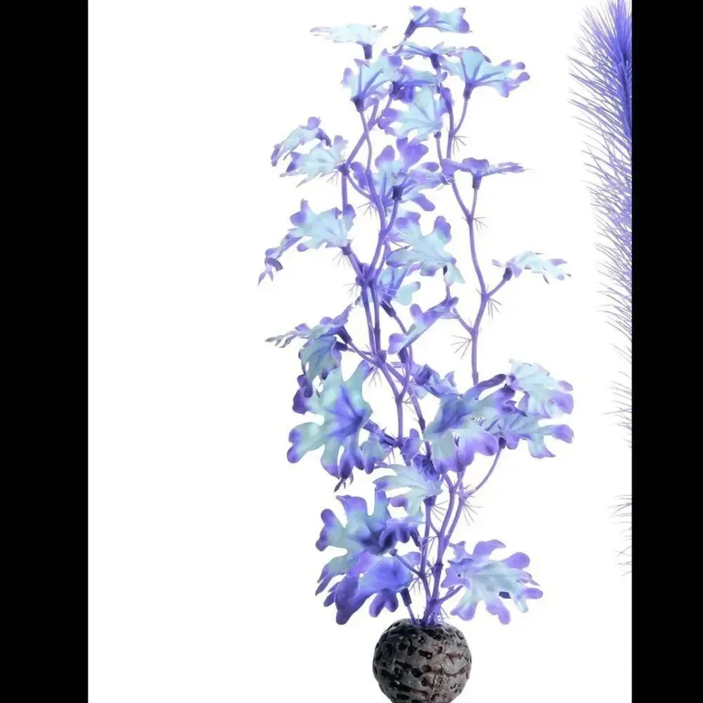 🌸HP🌸BiOrb Kelp in Purple!